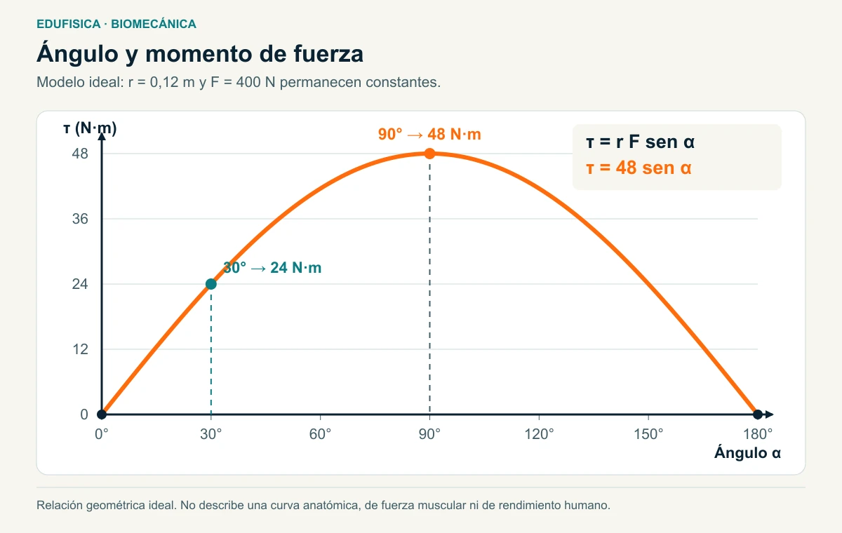 Curva geométrica de τ = 48 sen α: 0 N·m a 0° y 180°, 24 N·m a 30° y máximo de 48 N·m a 90°.