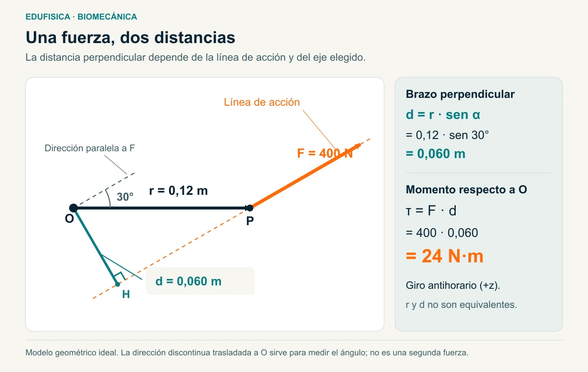 Fuerza, eje articular y brazo de momento perpendicular en un modelo plano