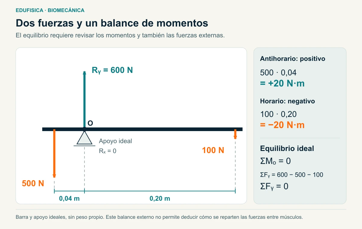 Equilibrio plano ideal: 500 N a 0,04 m y 100 N a 0,20 m producen momentos de +20 y −20 N·m; el apoyo reacciona con 600 N hacia arriba.