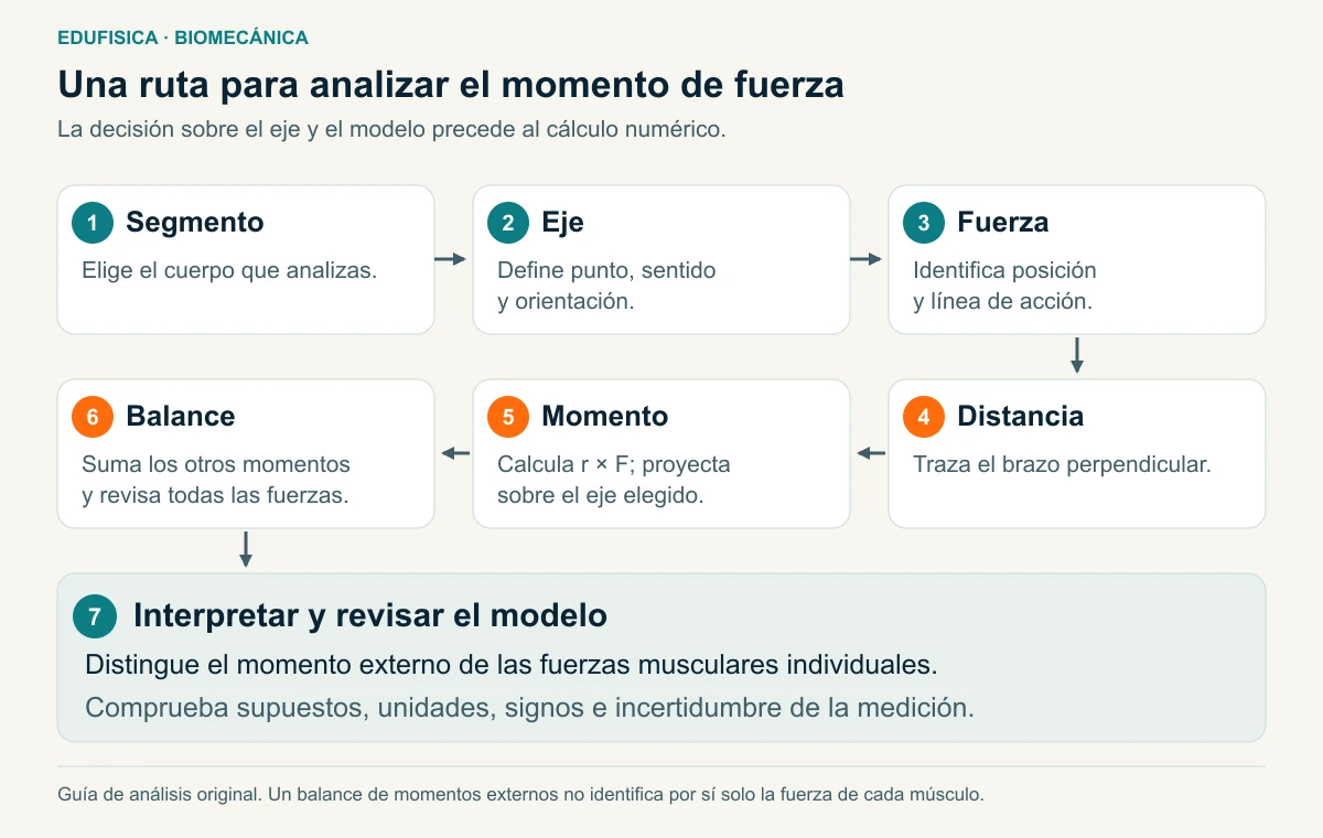 Siete pasos para analizar un momento de fuerza: segmento, eje, fuerza, brazo perpendicular, producto vectorial, balance e interpretación.