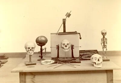 Modelos craneales e instrumentos de medición sobre una mesa en una fotografía histórica de Clark University.
