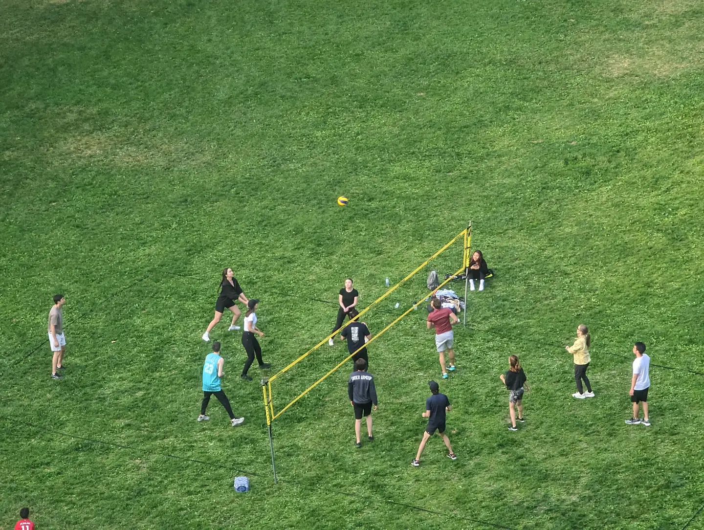 Personas jugando voleibol sobre césped en un parque de Toronto con una red amarilla