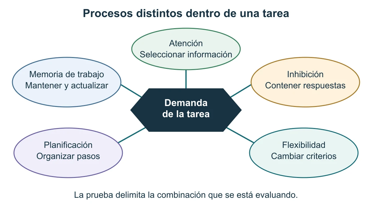 Cinco procesos convergen en la demanda de una tarea: atención, memoria de trabajo, inhibición, flexibilidad y planificación. La conexión no establece una capacidad general ni un orden entre personas.