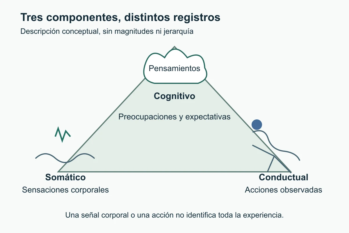 Triángulo con tres registros de ansiedad: pensamientos, sensaciones y acciones.