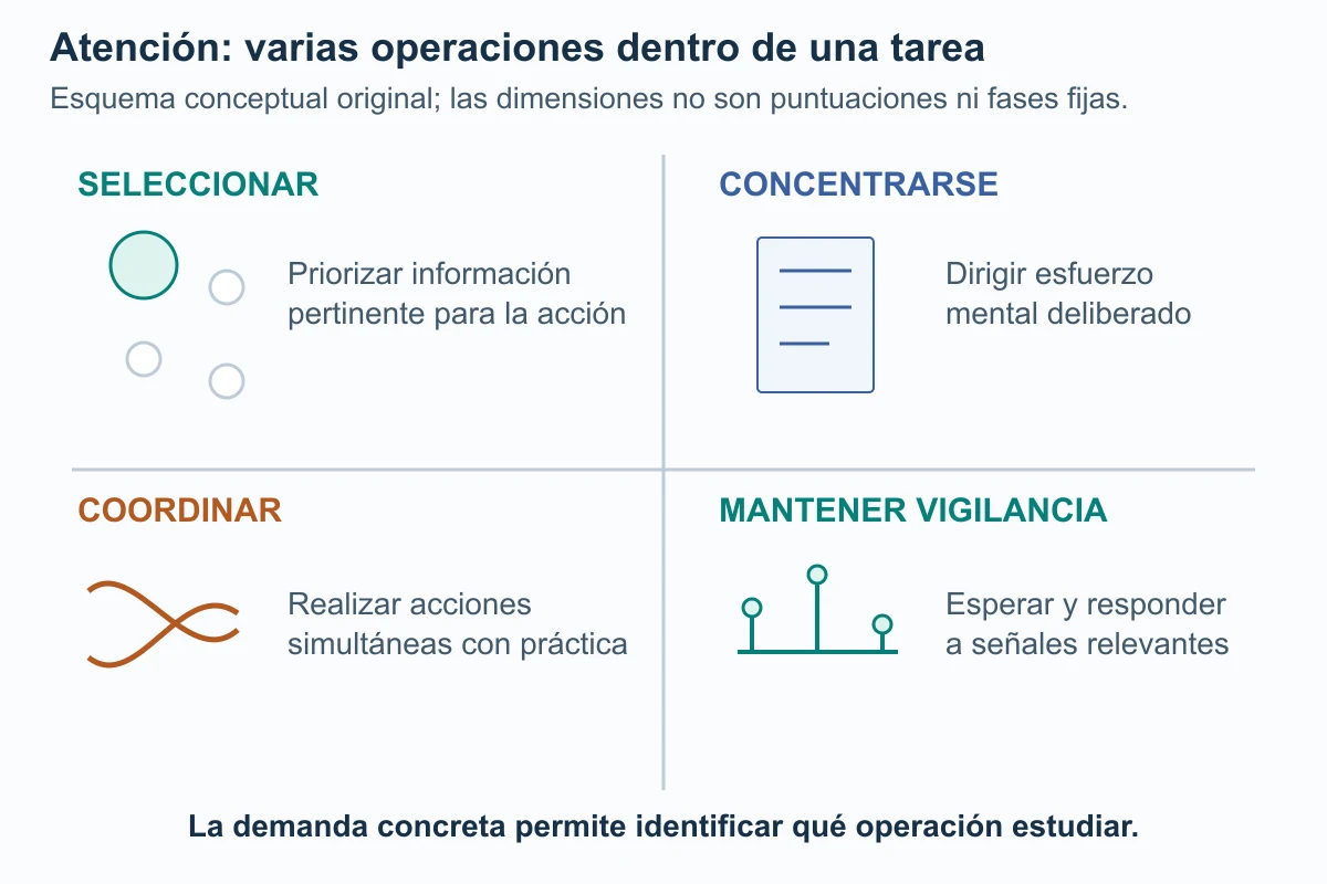 Cuatro símbolos diferentes representan selección, esfuerzo concentrado, coordinación de acciones y vigilancia ante señales de aparición irregular.