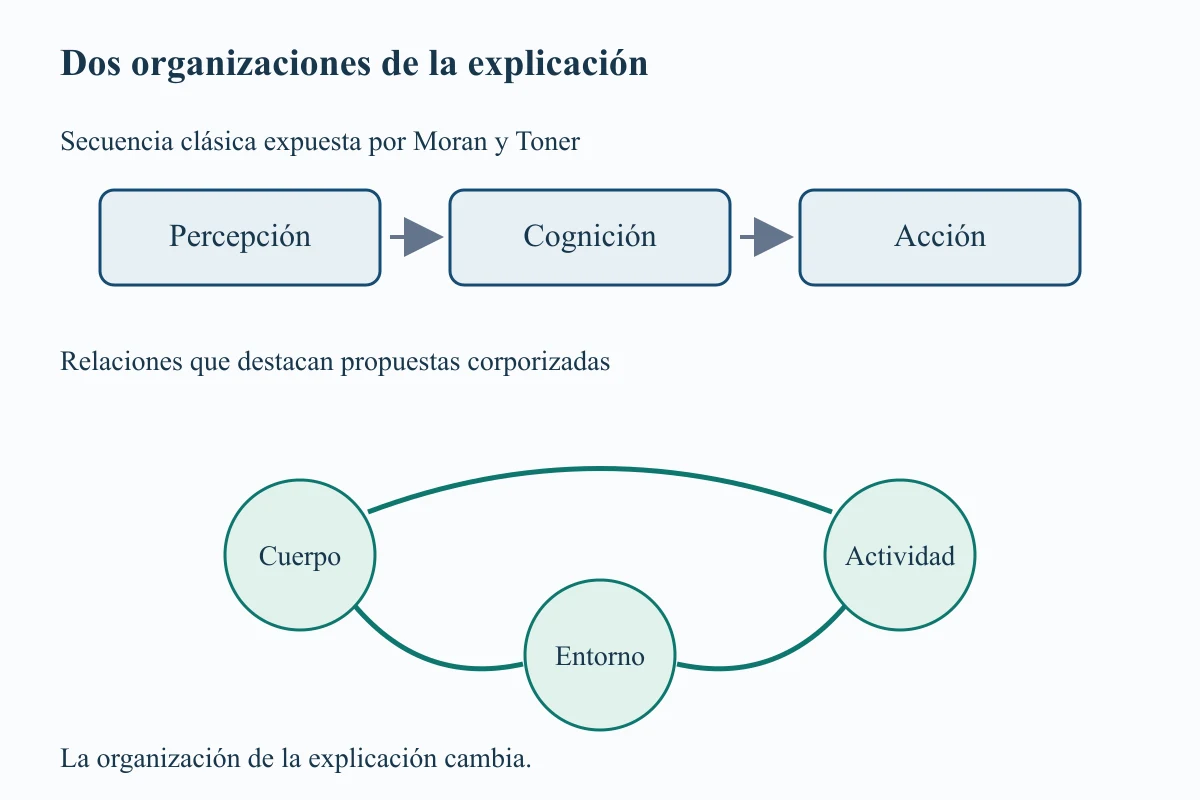 Una cadena de percepción, cognición y acción se compara con una relación entre cuerpo, actividad y entorno.