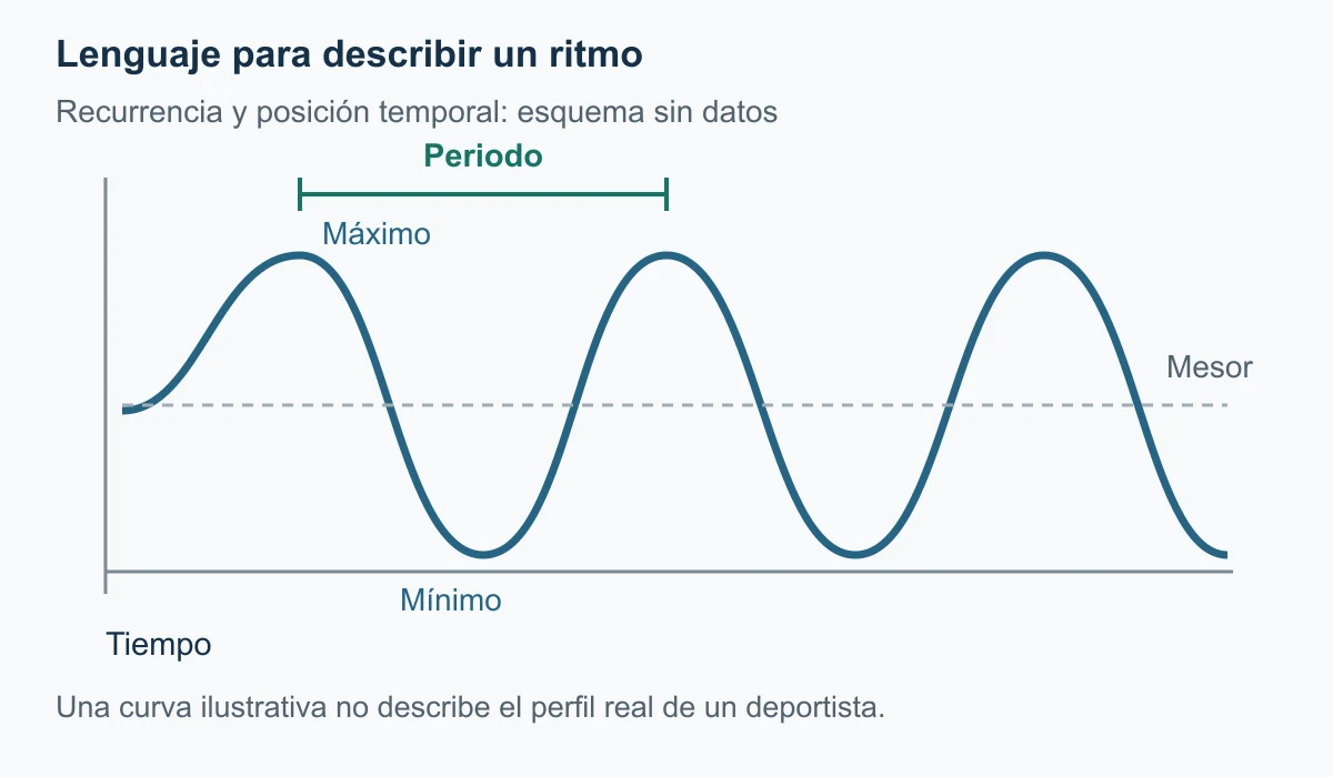 Curva conceptual recurrente con máximo, mínimo, mesor y periodo; no contiene horas, unidades o resultados deportivos.