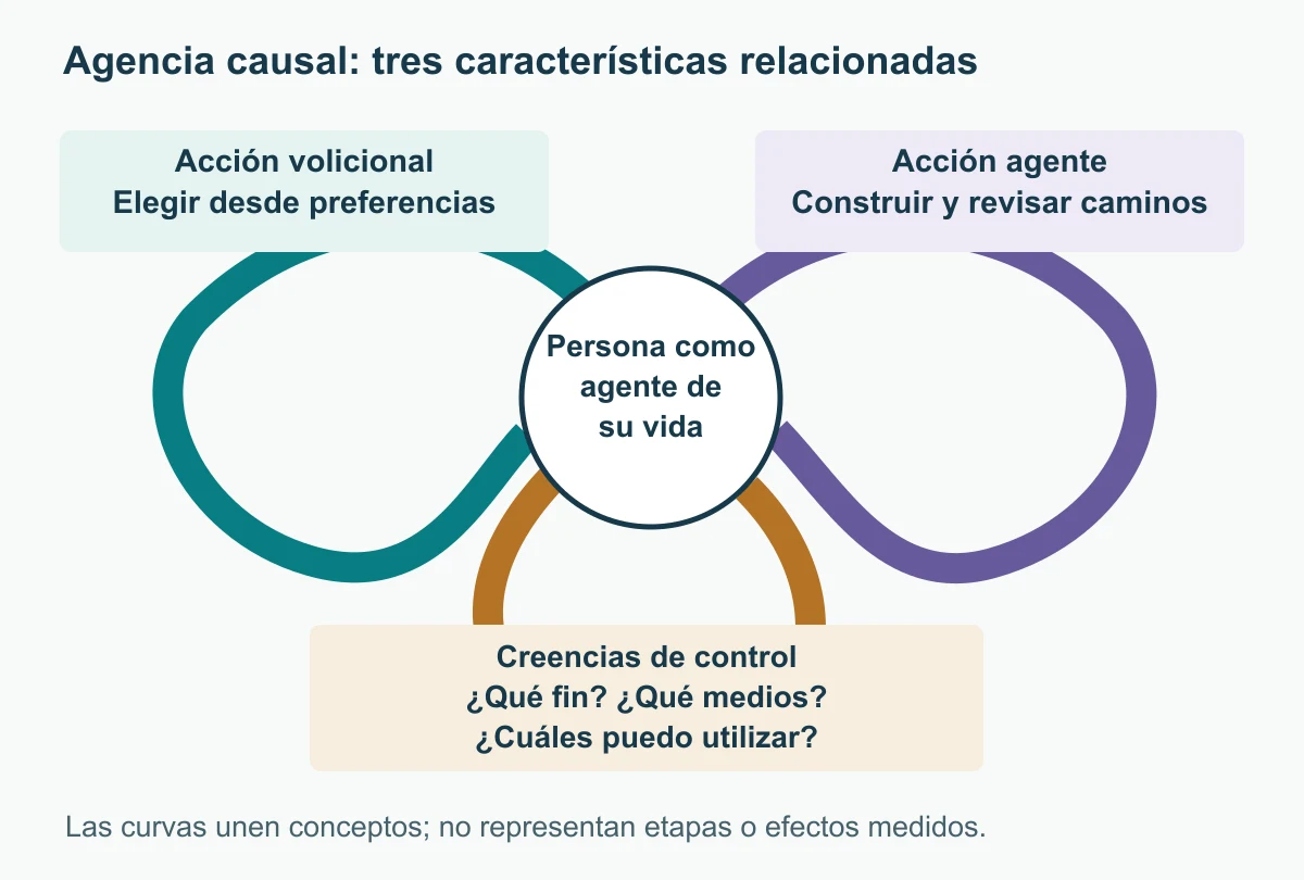 Tres características de agencia causal educativa