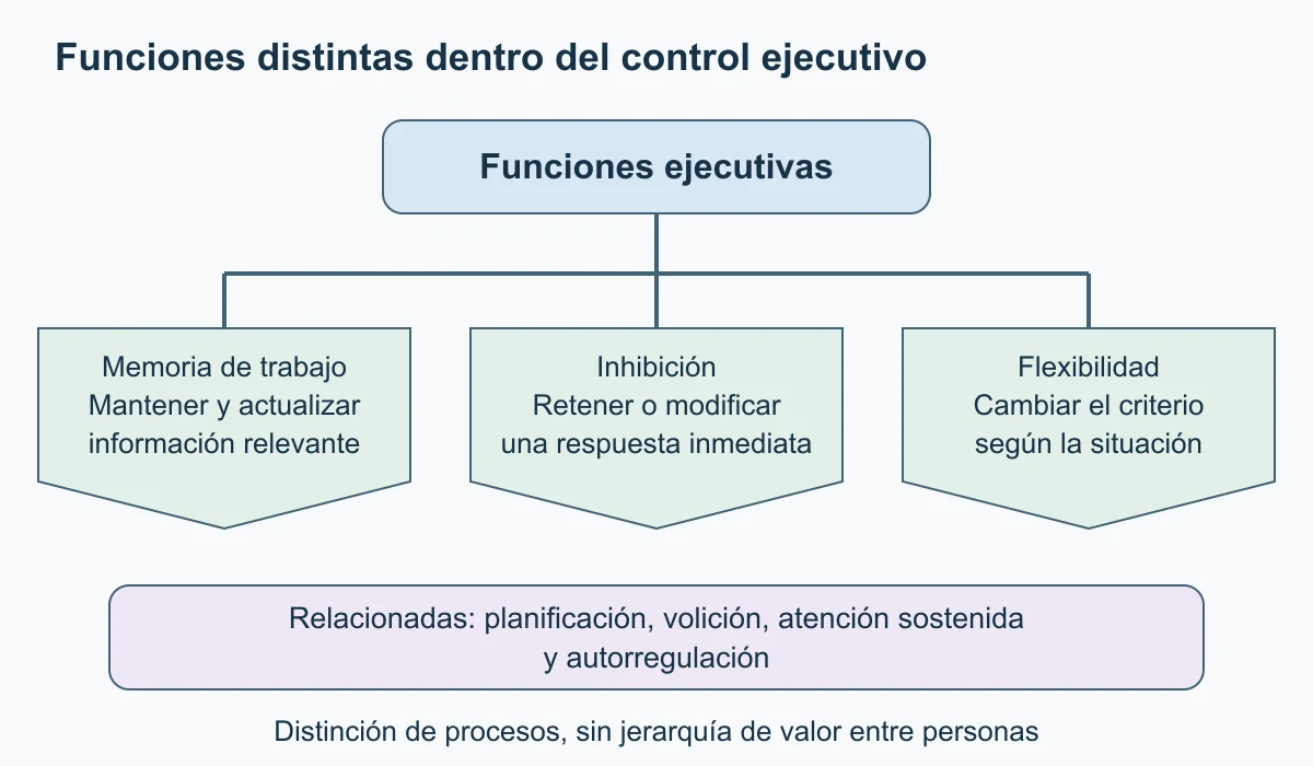 Un árbol conecta funciones ejecutivas con memoria de trabajo, inhibición y flexibilidad. Una banda separada enumera funciones relacionadas, como planificación y atención sostenida.
