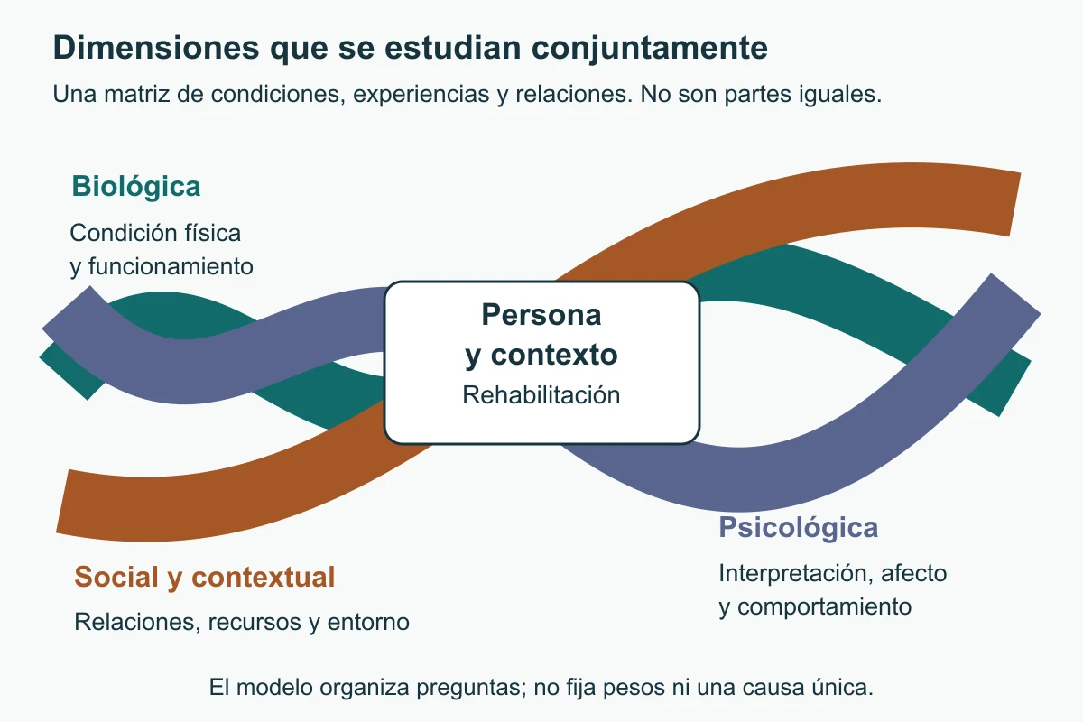 Tres cintas de colores se entrelazan detrás de un espacio central de persona, contexto y rehabilitación. Las leyendas nombran dimensiones biológica, psicológica y social sin representar cantidades.