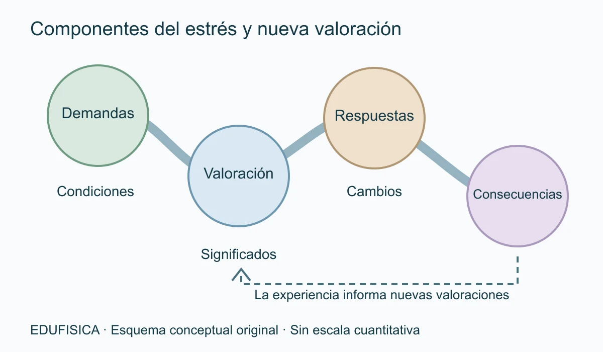 Cuatro cuentas de una cadena curva representan demandas, valoración, respuestas y consecuencias. Una curva de retorno indica que la experiencia puede aportar información para una nueva valoración. Las conexiones son analíticas y no imponen una deliberación consciente secuencial. Se distinguen condiciones, significados, cambios y resultados.