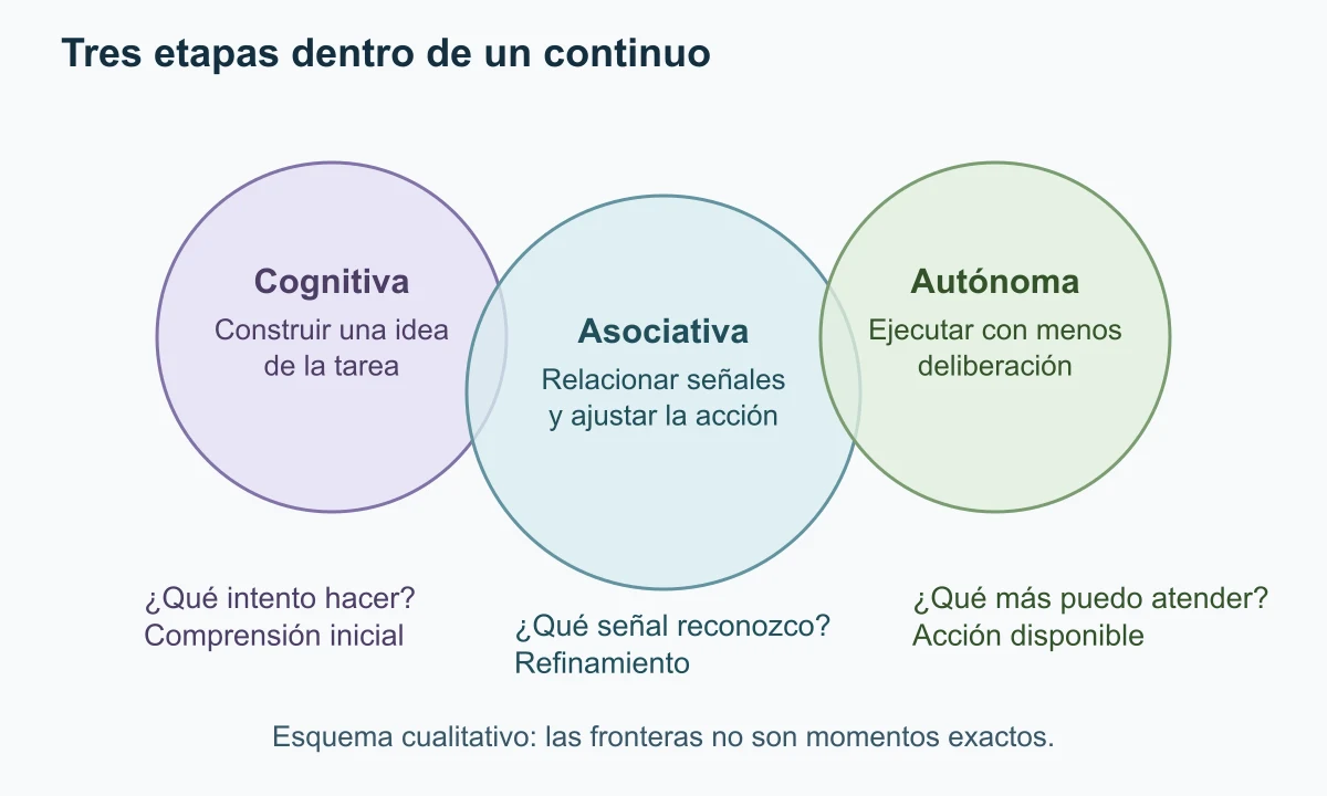 Tres áreas parcialmente superpuestas presentan demandas cognitivas, asociativas y autónomas dentro de un continuo sin fronteras temporales exactas.