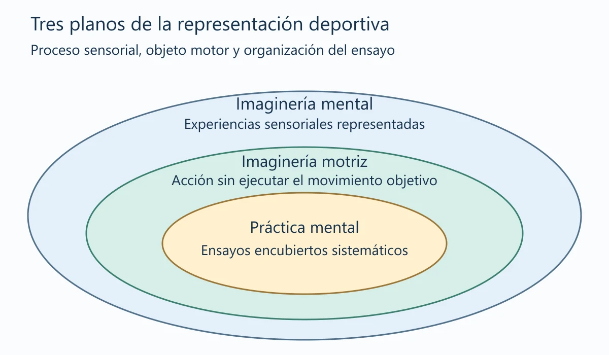 Tres zonas anidadas describen experiencias sensoriales representadas, representación de una acción sin ejecutar el movimiento objetivo y ensayos encubiertos sistemáticos de esa acción. La relación se limita al foco motor deportivo de la lectura.