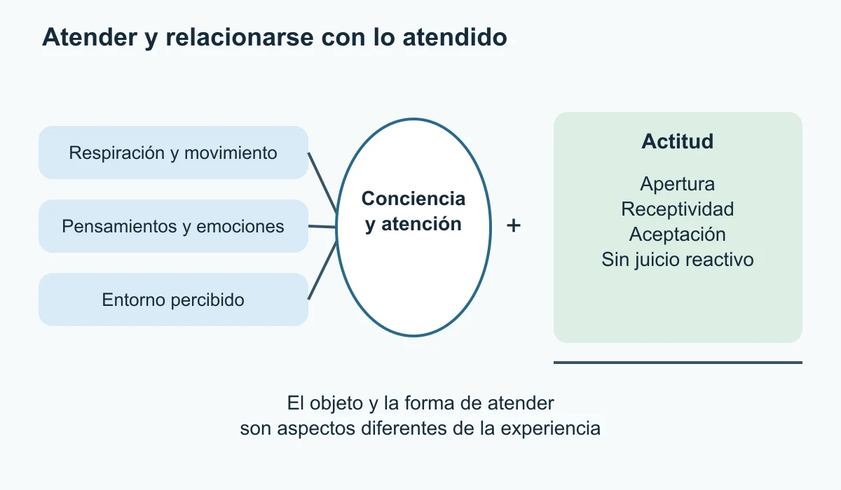 Tres objetos de conciencia confluyen en atención; a su lado aparecen apertura, receptividad, aceptación y ausencia de juicio reactivo.