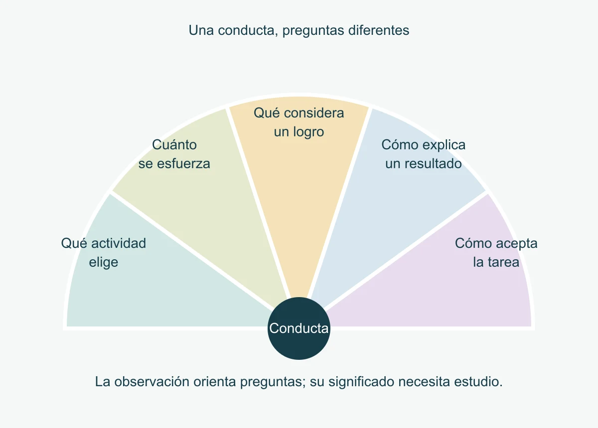 Abanico de cinco preguntas sobre dirección de la actividad, esfuerzo, criterio de competencia, explicación de resultados y calidad de regulación, que convergen en una conducta observada sin asignar proporciones.
