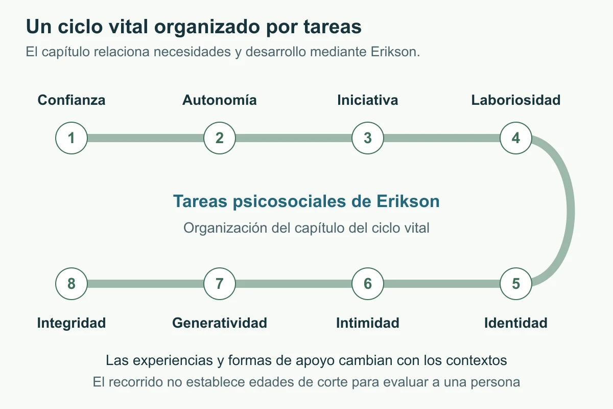 Ocho estaciones en un recorrido curvo presentan confianza, autonomía, iniciativa, laboriosidad, identidad, intimidad, generatividad e integridad.