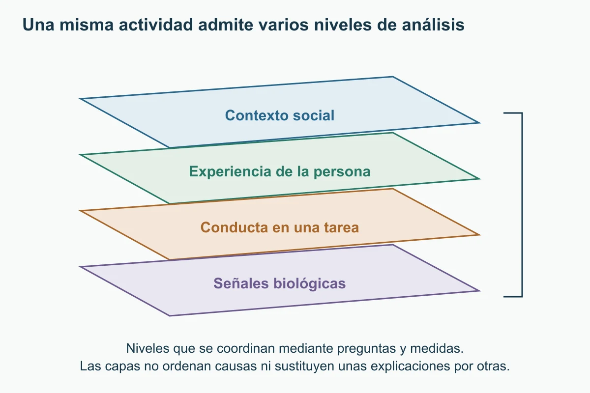 Cuatro capas separadas nombran contexto social, experiencia, conducta y señales biológicas. Un corchete lateral las reúne sin flechas de causalidad.