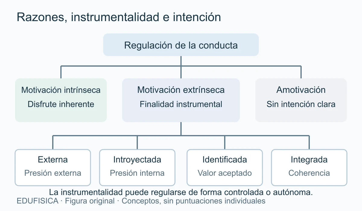 Un árbol conceptual separa motivación intrínseca, extrínseca y amotivación. Dentro del conjunto extrínseco distingue regulación externa, introyectada, identificada e integrada. No hay flechas temporales, puntuaciones ni clasificación individual.