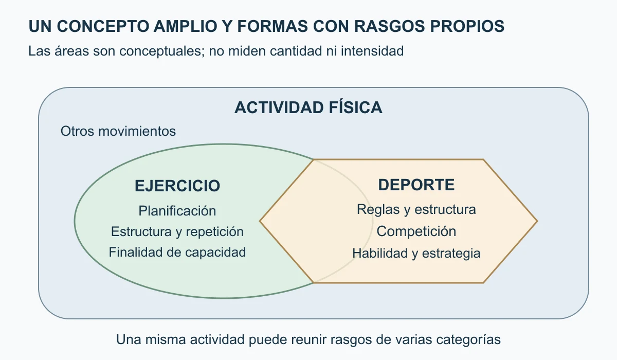 Un contorno amplio de actividad física contiene otras formas de movimiento y dos áreas que se solapan: ejercicio y deporte. El ejercicio se describe por planificación, estructura, repetición y finalidad; el deporte, por reglas, competición y habilidades según la definición usada. Las superficies no representan prevalencia, intensidad ni superioridad. El solapamiento recuerda que las categorías requieren contexto y no son compartimentos excluyentes.