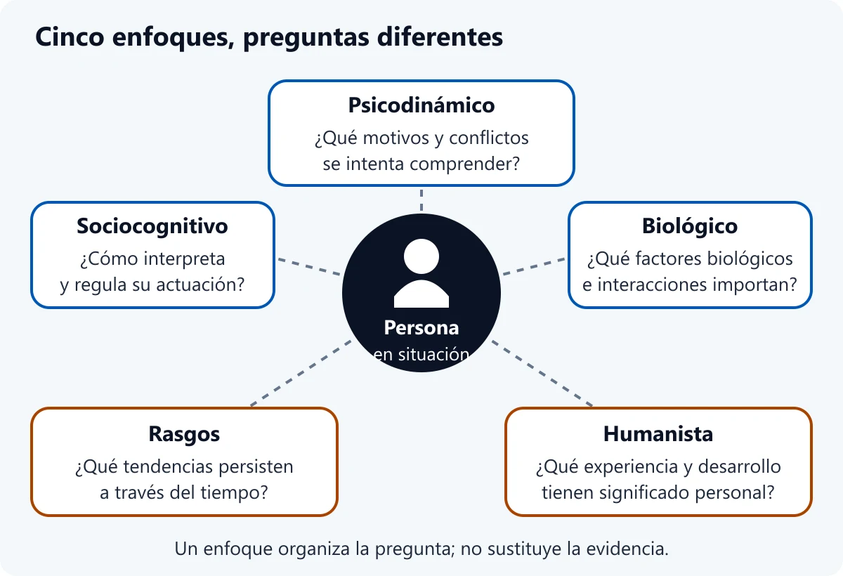 Una persona situada en el centro está rodeada por cinco enfoques: psicodinámico, biológico, humanista, rasgos y sociocognitivo. Cada enfoque plantea una pregunta diferente; no se asigna superioridad ni peso cuantitativo.