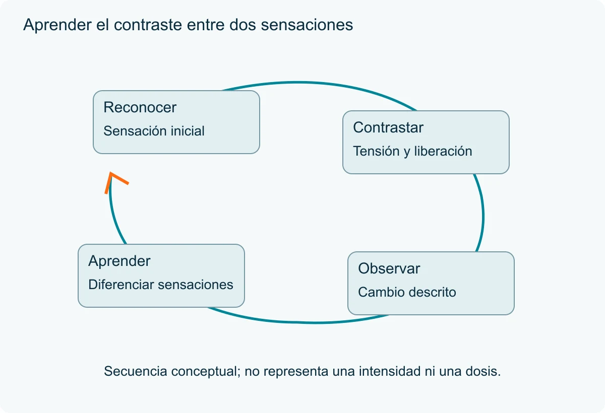 Un circuito conecta reconocimiento, contraste, observación y aprendizaje sin cifras de duración.