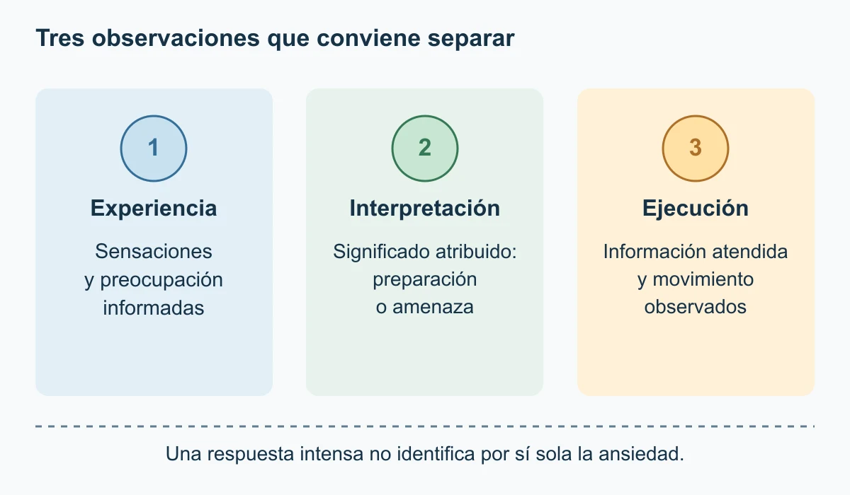 Tres columnas independientes representan experiencia personal, interpretación y ejecución. Sentir tensión, valorarla como amenaza y observar un movimiento son informaciones diferentes; ninguna columna sustituye a las demás.
