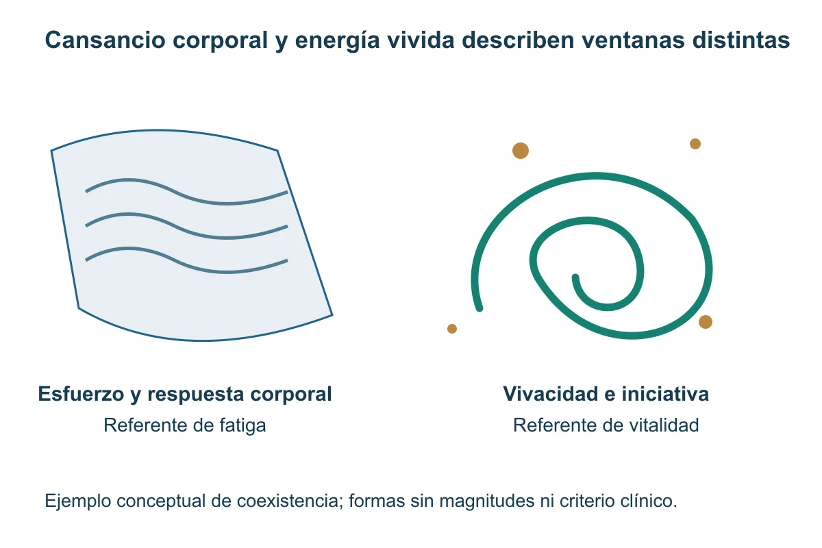 Una superficie ondulada y una espiral representan referentes distintos de cansancio y energía vivida