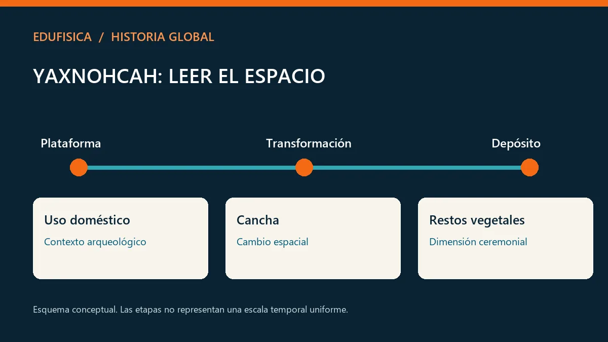 Yaxnohcah: leer el espacio: Uso doméstico, Cancha, Restos vegetales
