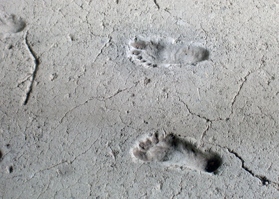 Huellas humanas conservadas en el sitio de Acahualinca en Managua